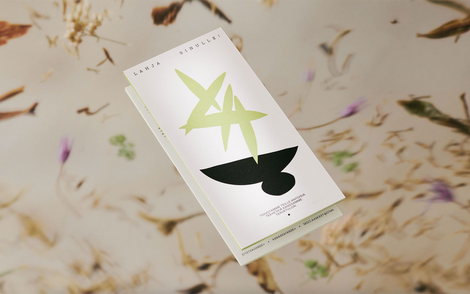 TeeMaa cover image