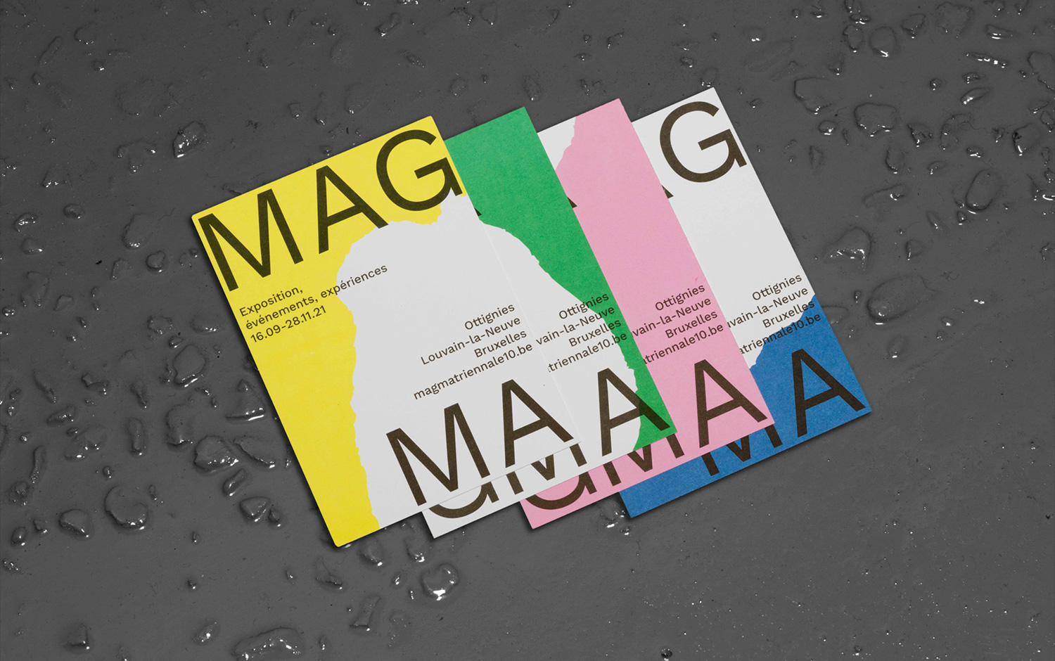 MAGMA cover image