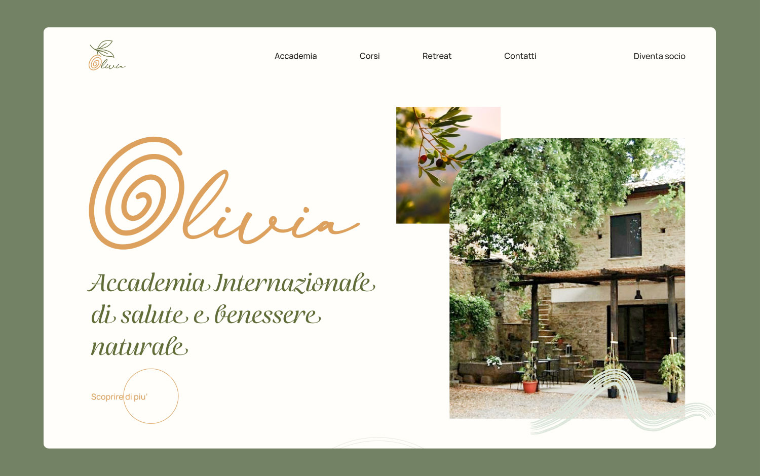 Academia Olivia in Italy cover image