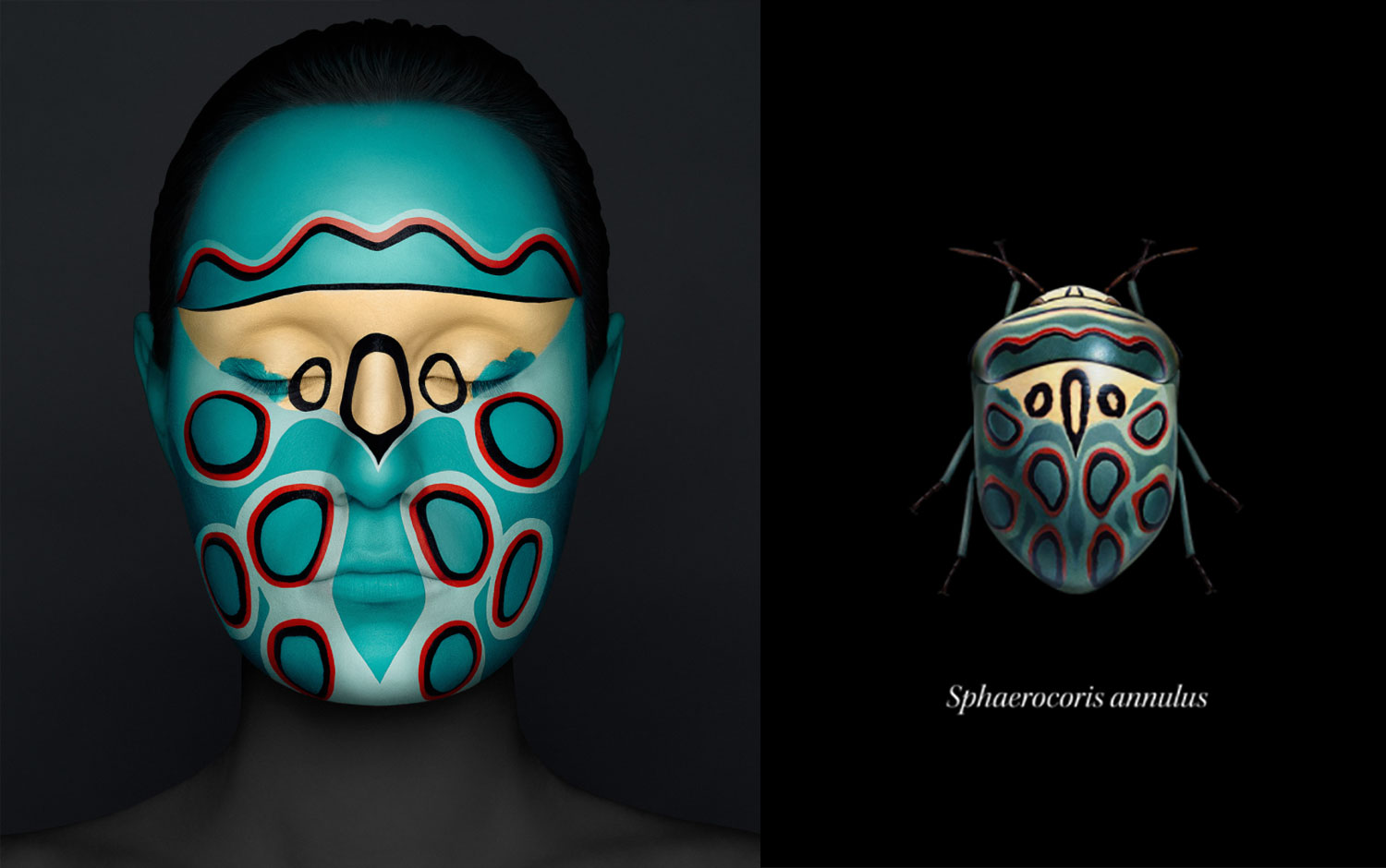 Insectum Portraits cover image