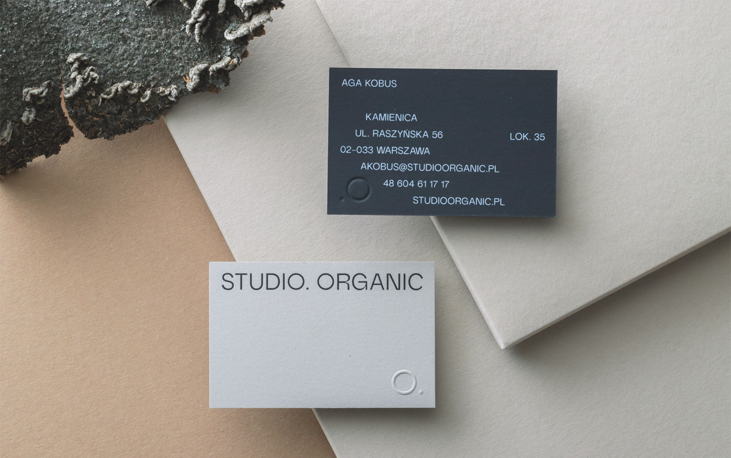 Studio Organic cover image
