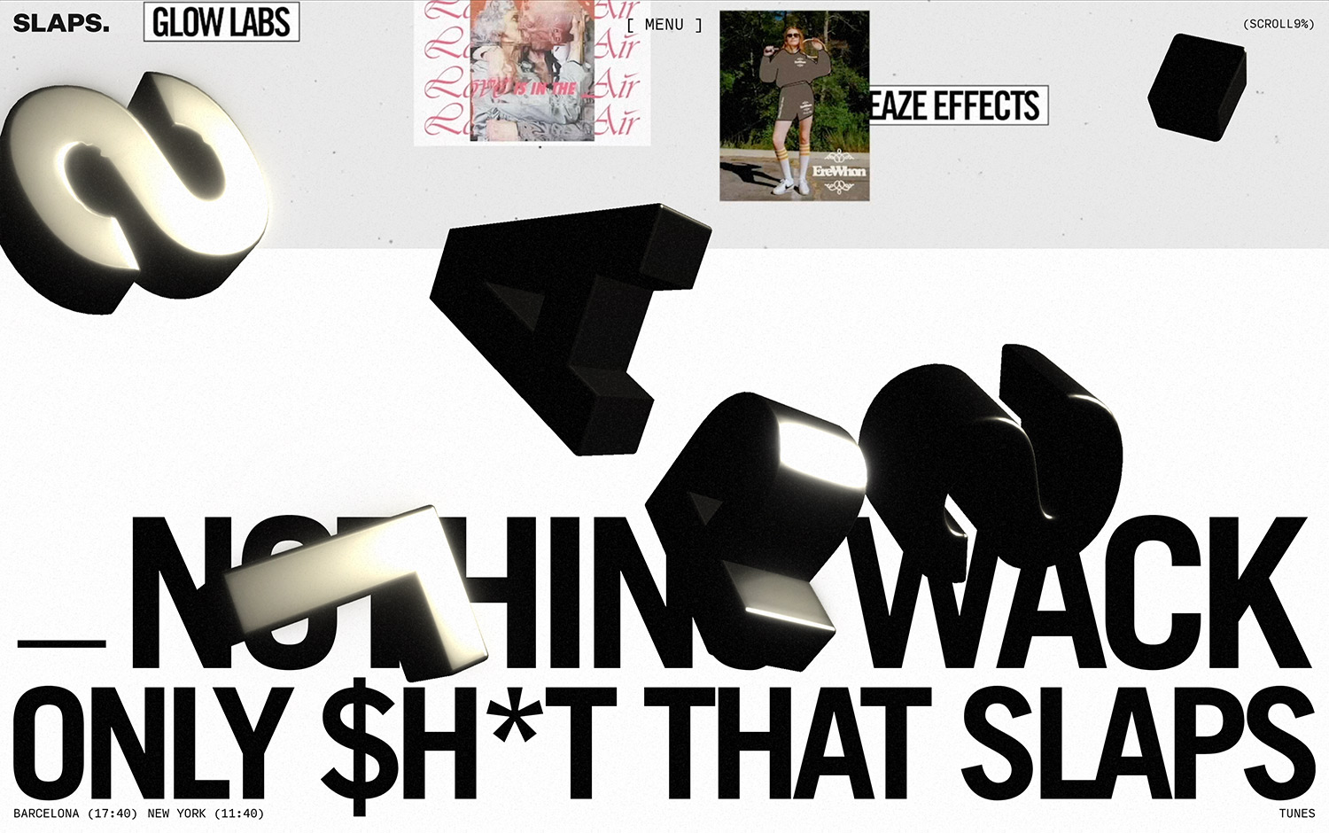 SLAPS cover image