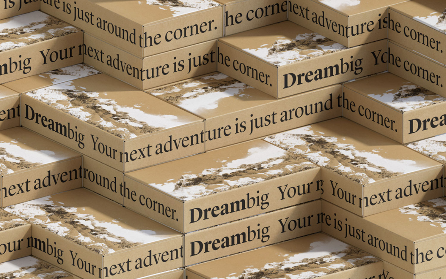 Db Packaging cover image
