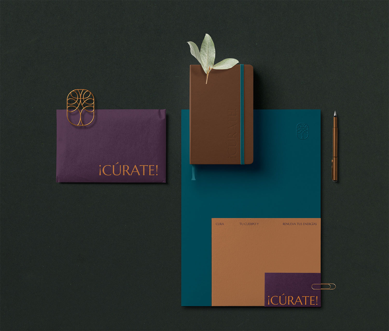 Curate Biofeedback Therapy cover image