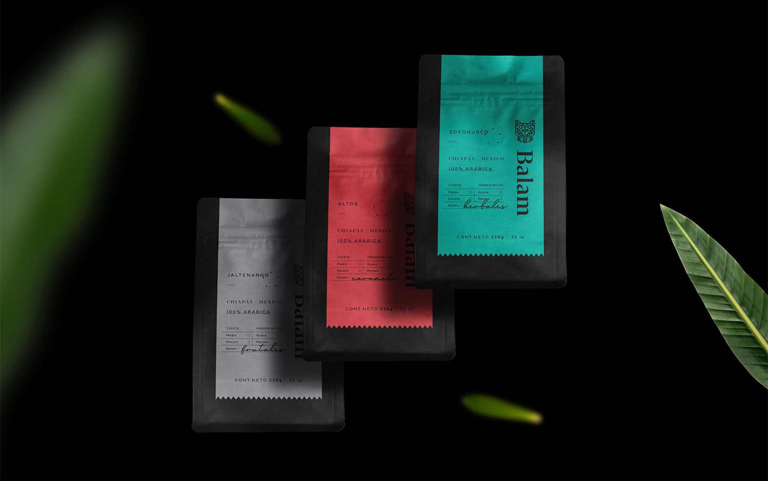 Balam Coffee Packaging cover image