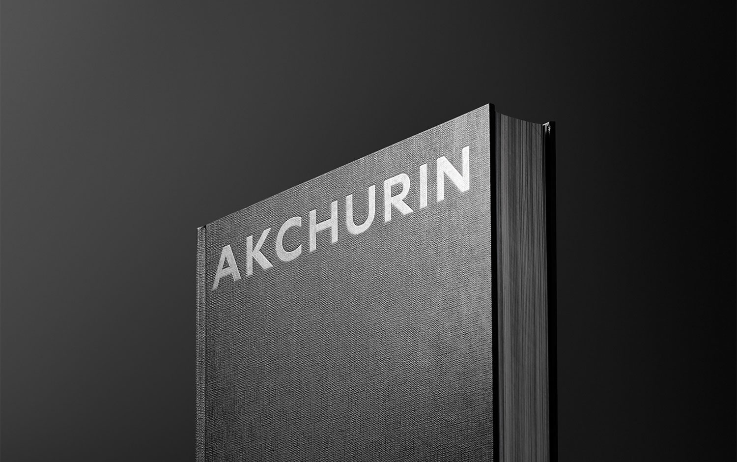 Akchurin New York Book cover image