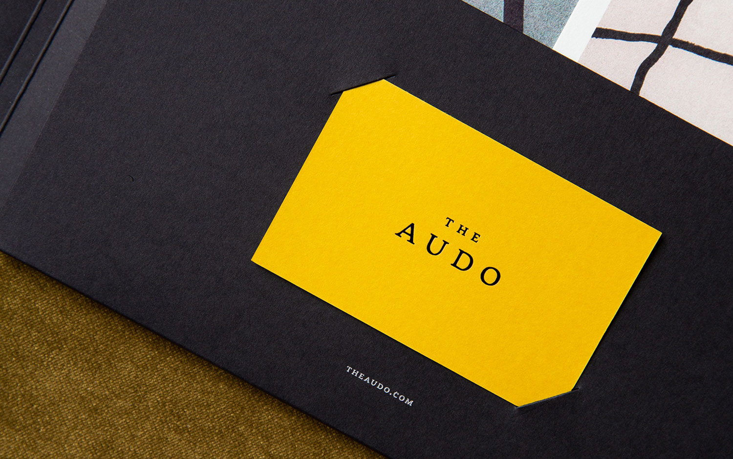 The Audo cover image