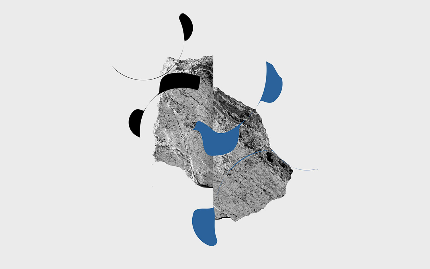 uu - Noise from the Shore cover image