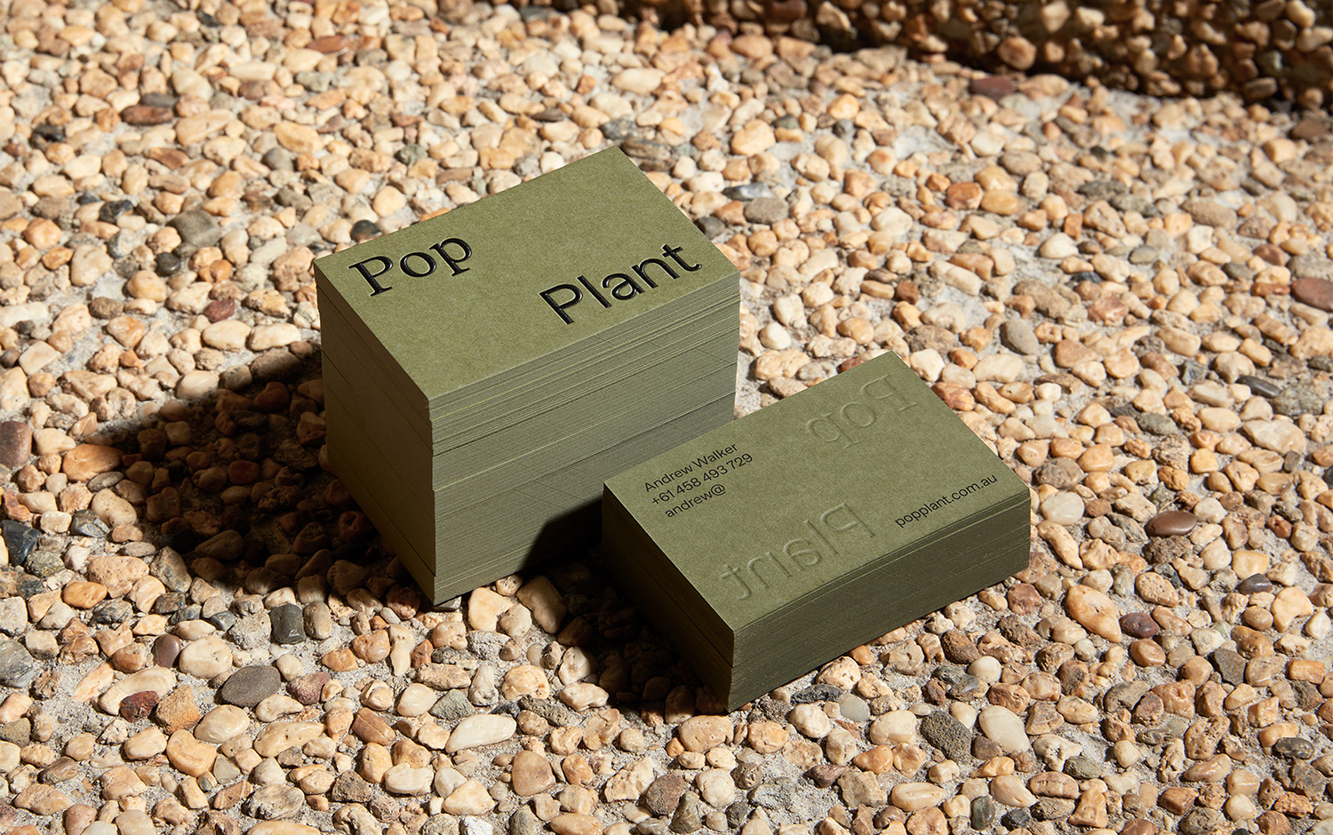 Pop Plant cover image