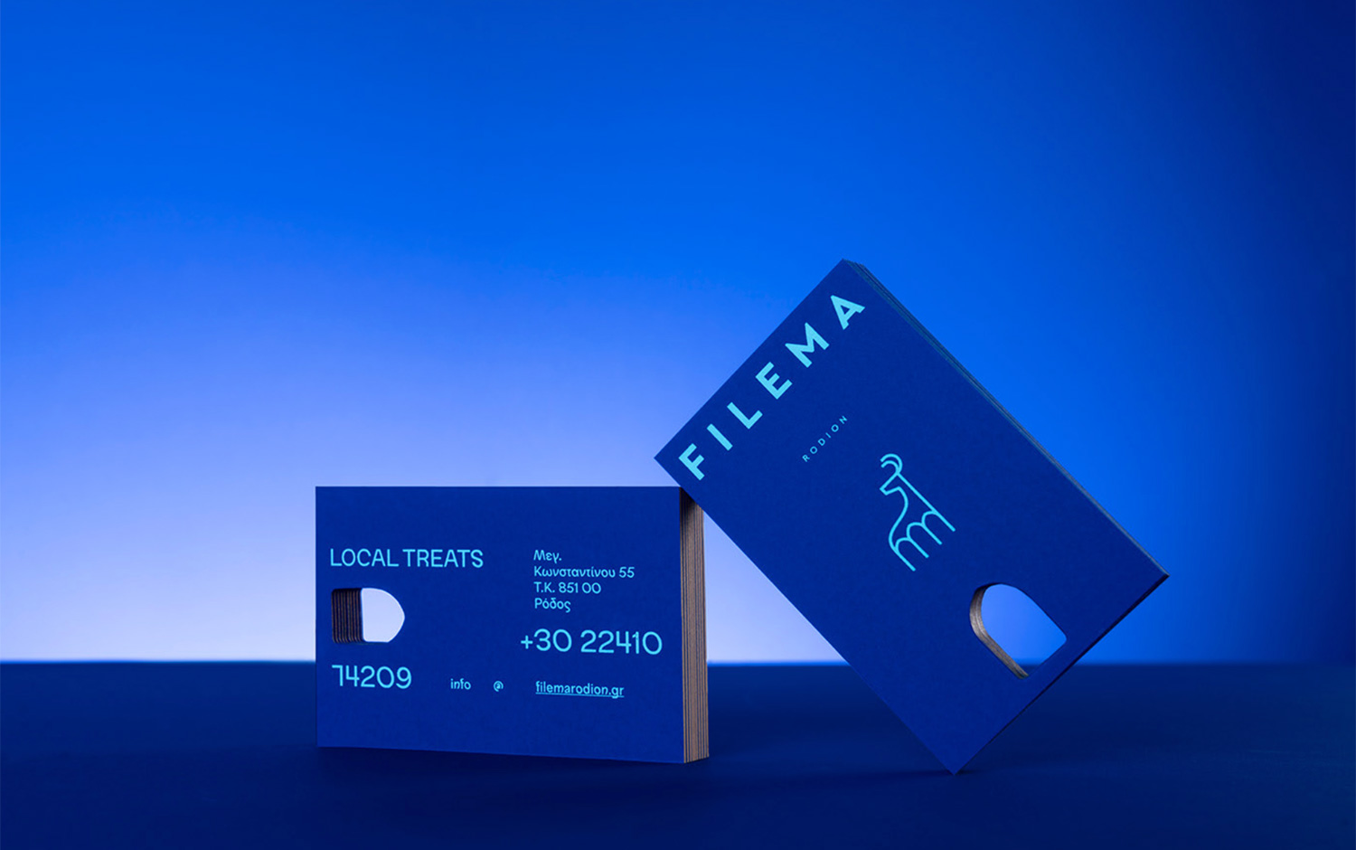 Filema Rodion Store Branding cover image