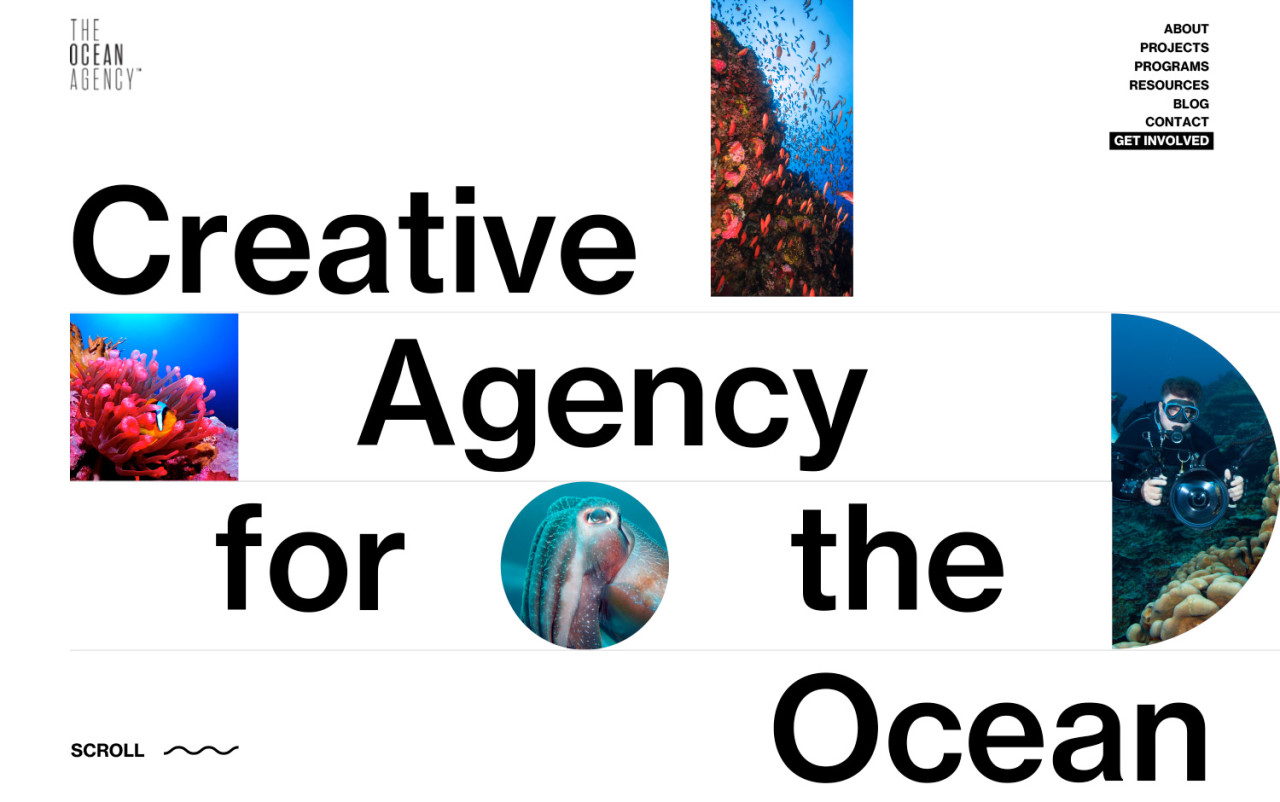 The Ocean Agency cover image