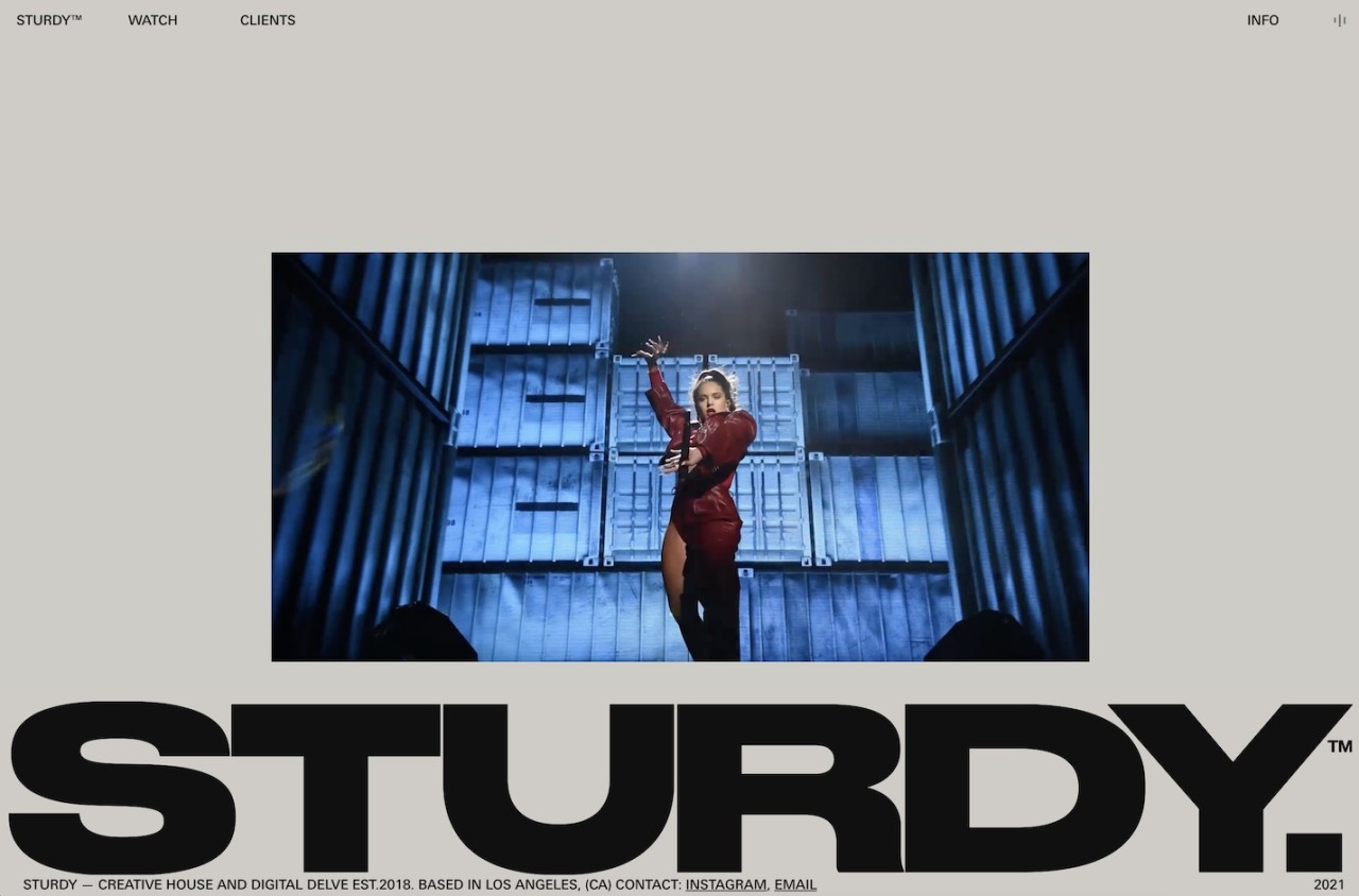 STURDY. cover image