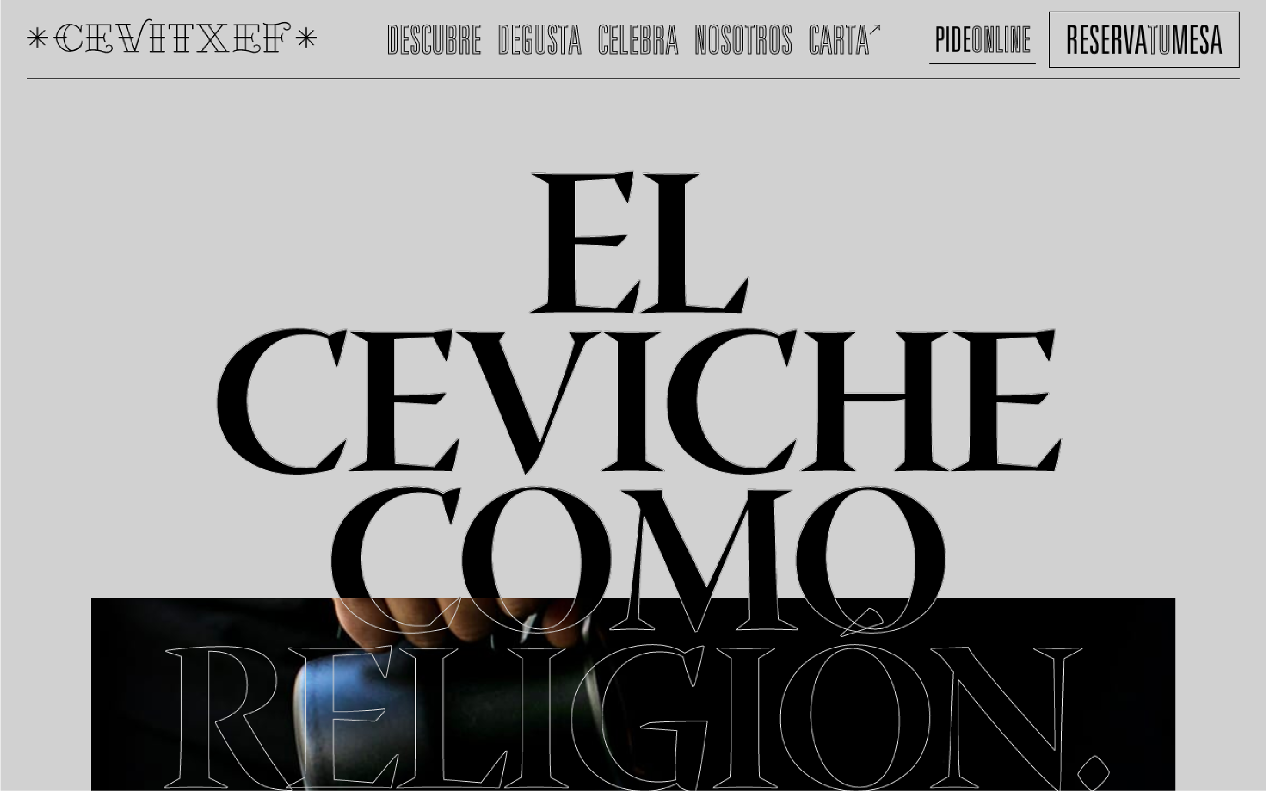 Cevitxef cover image