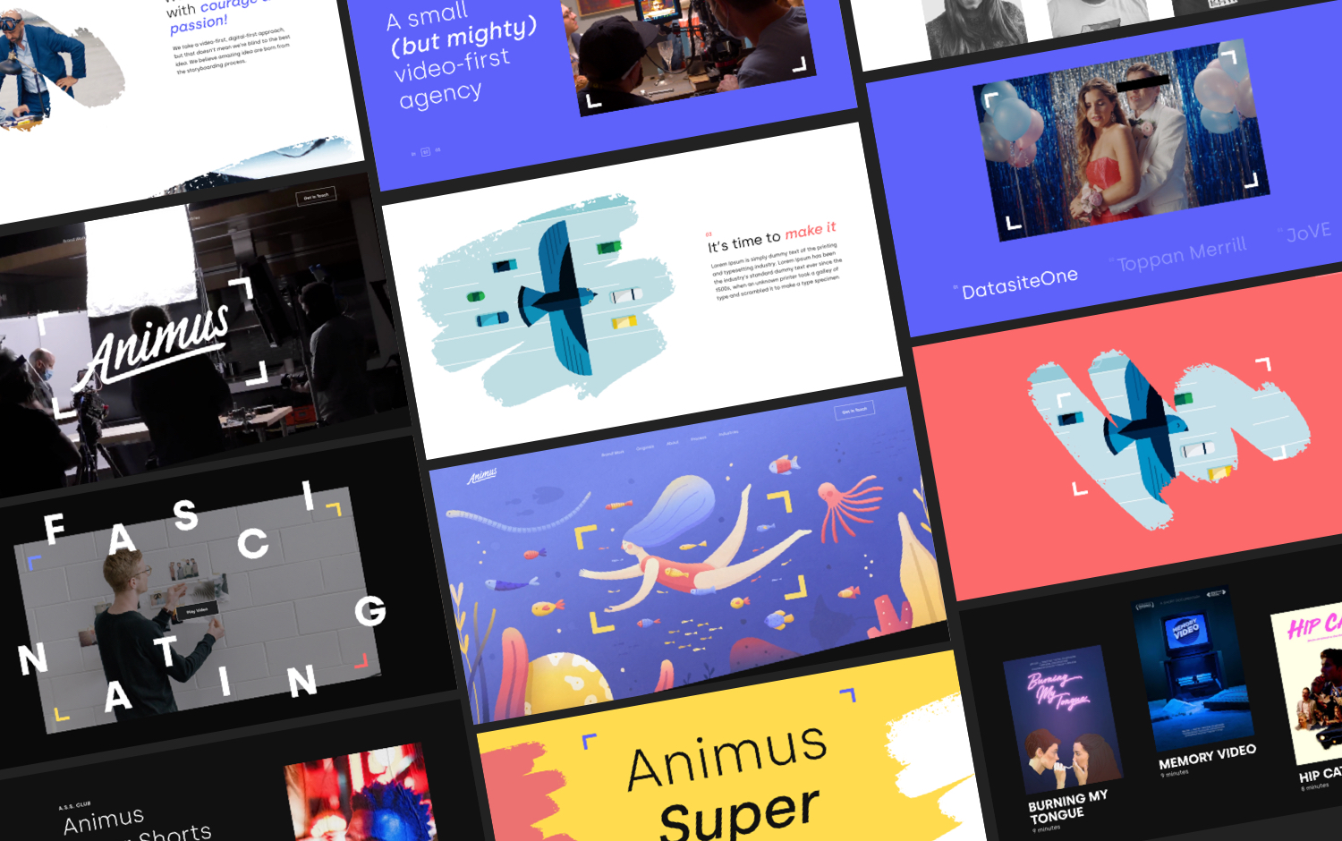 Animus cover image