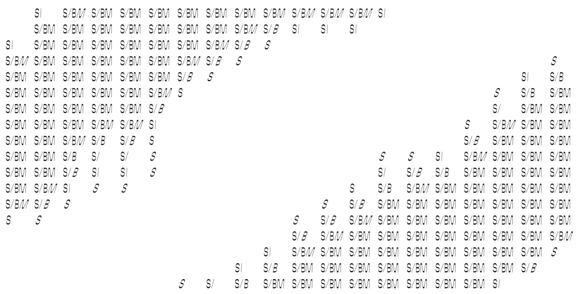 S/BM – Linguistic Solutions cover image