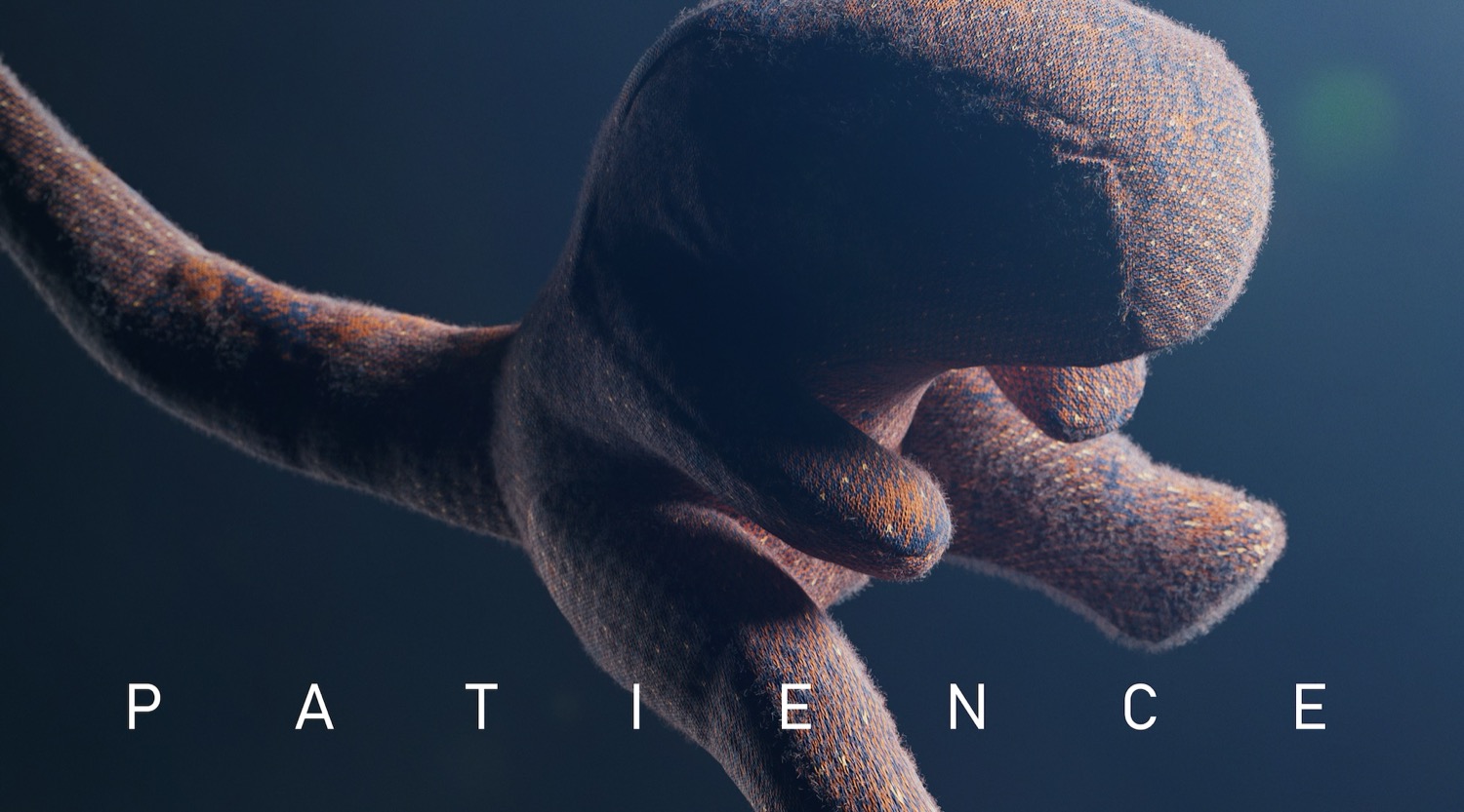 Patience cover image