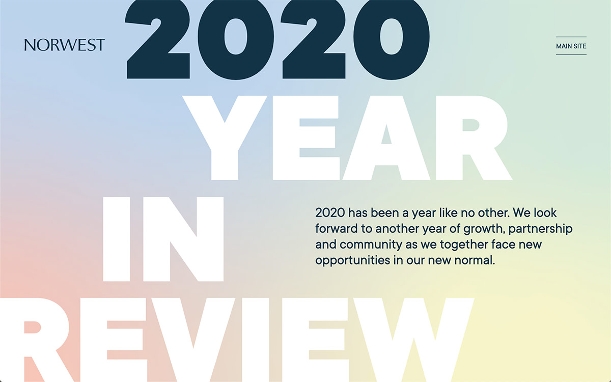 NVP 2020 Year in Review cover image