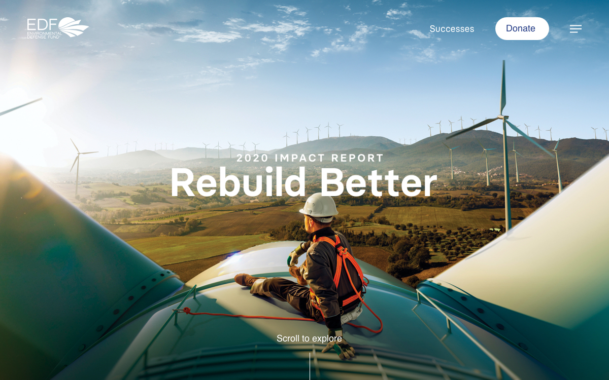 EDF - 2020 Impact Report cover image