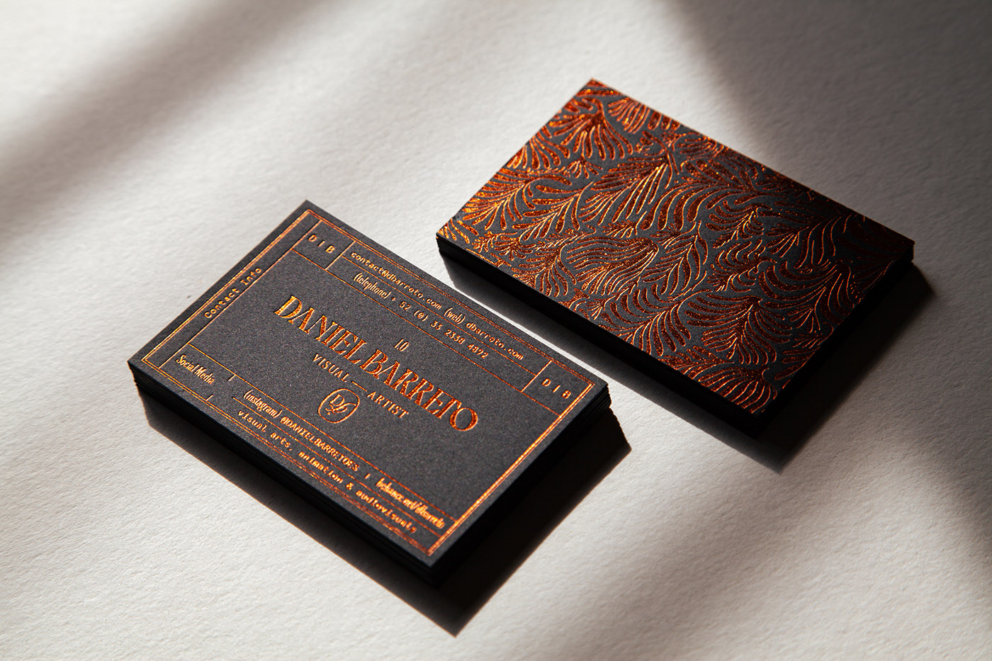 Daniel Barreto Visual Identity cover image