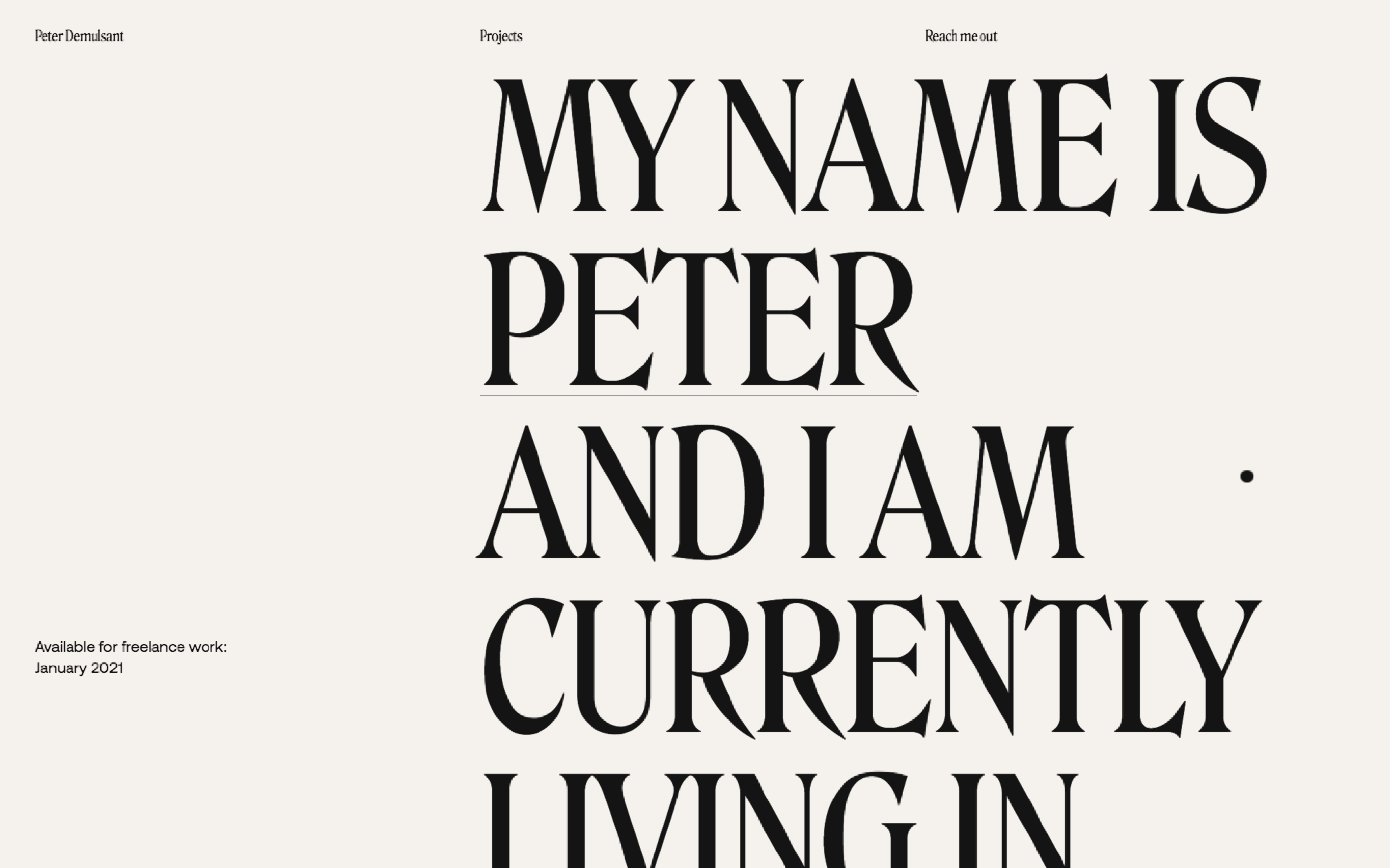 Peter Demulsant Portfolio cover image