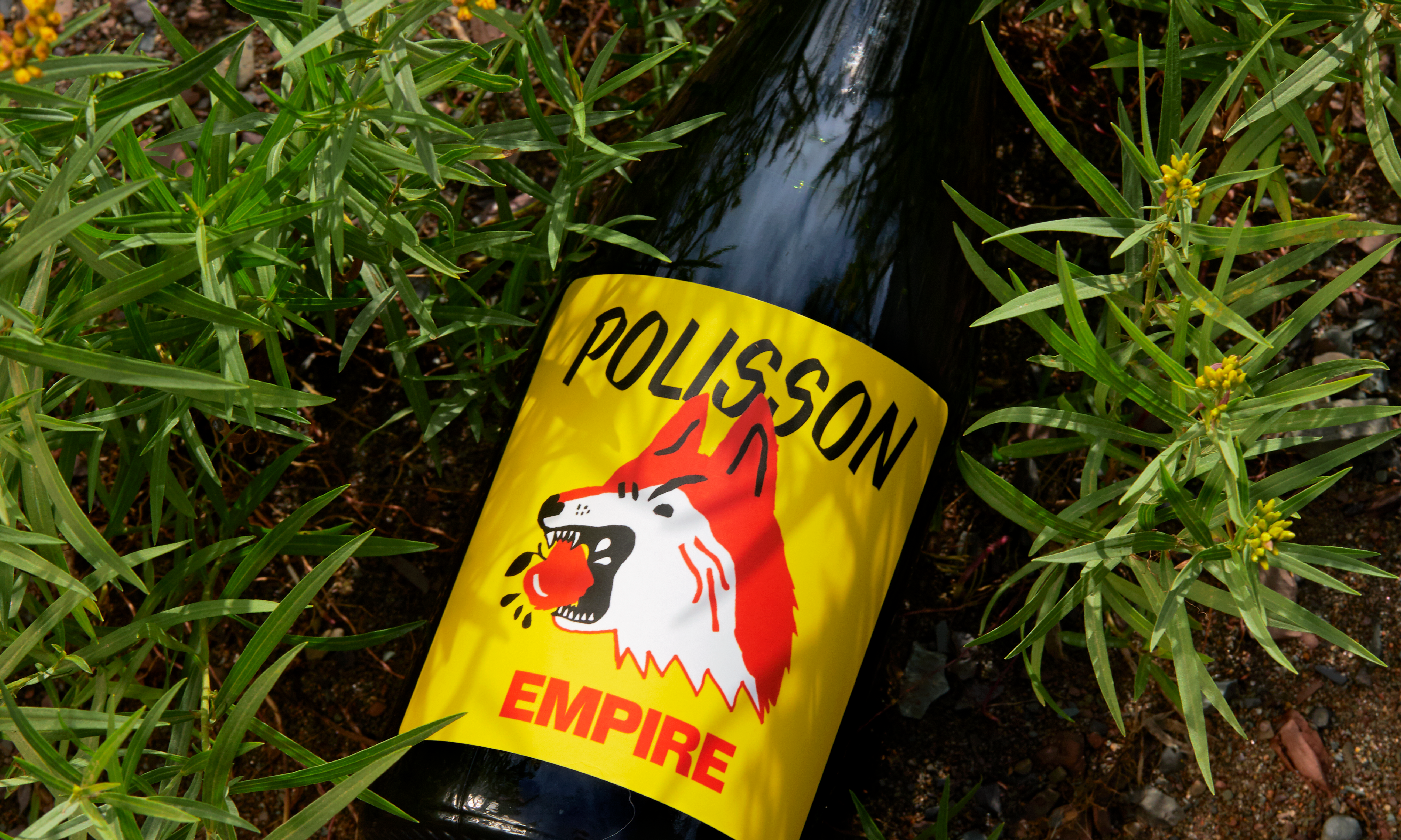Polisson cover image