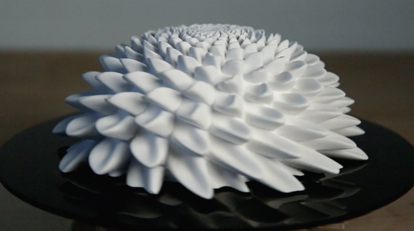 Blooms Strobe Animation cover image