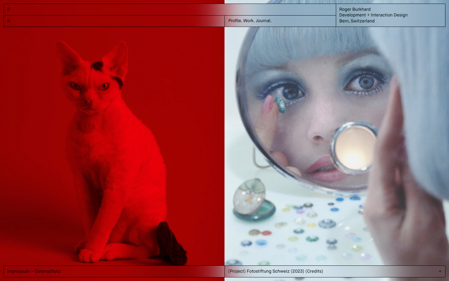 Roger Burkhard cover image
