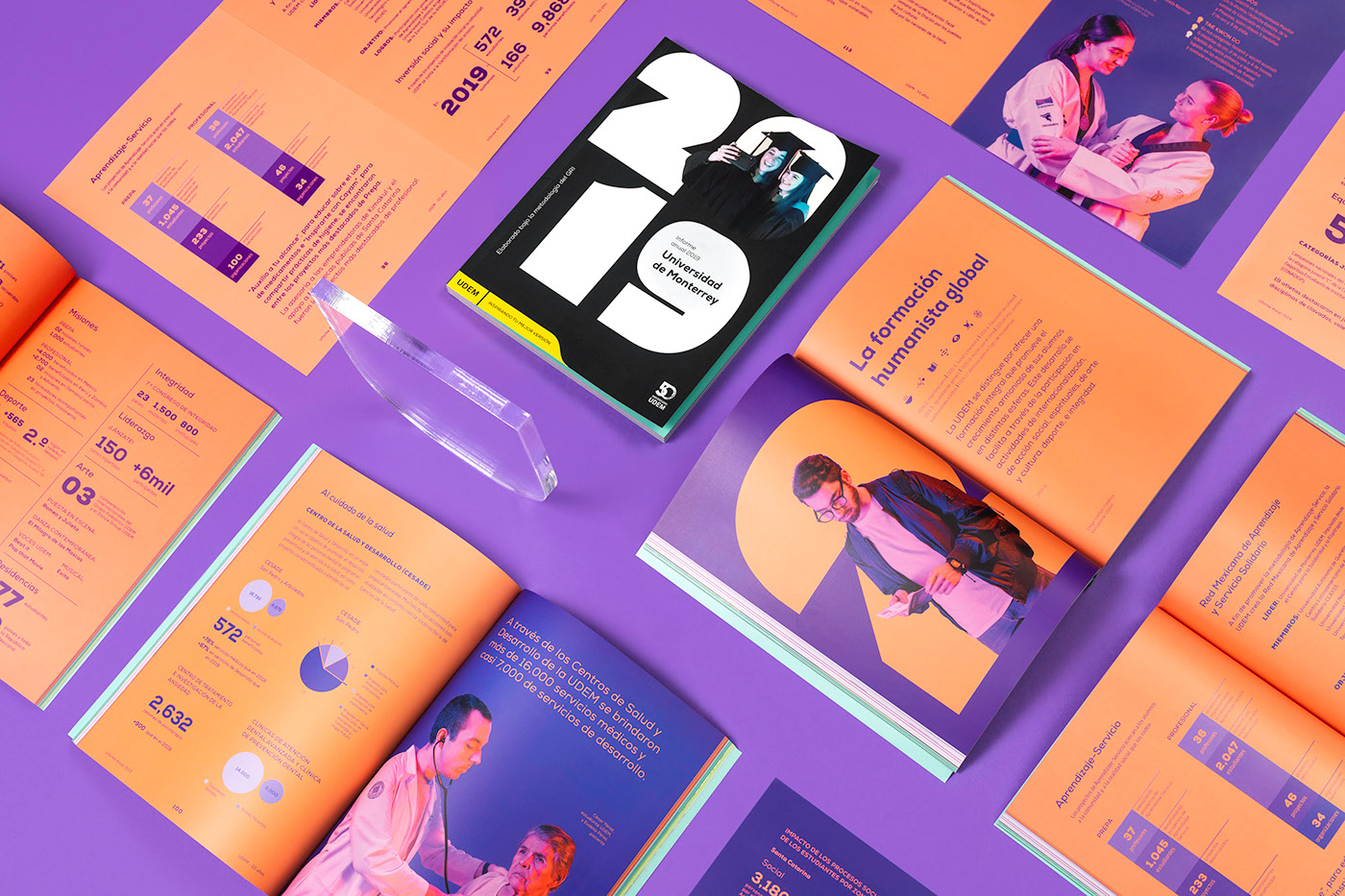 UDEM Annual Report 2019 cover image