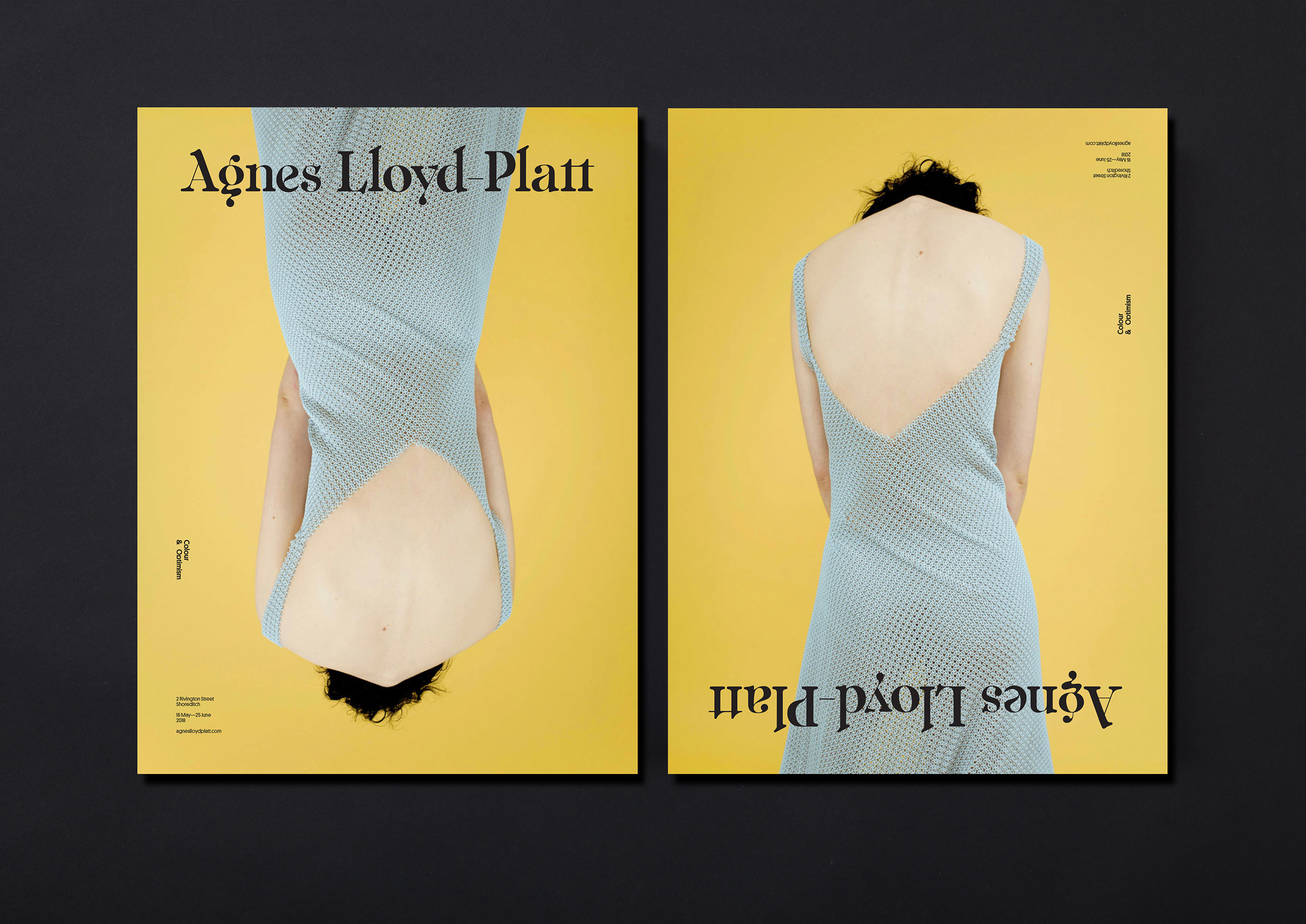 Agnes Lloyd Platt cover image