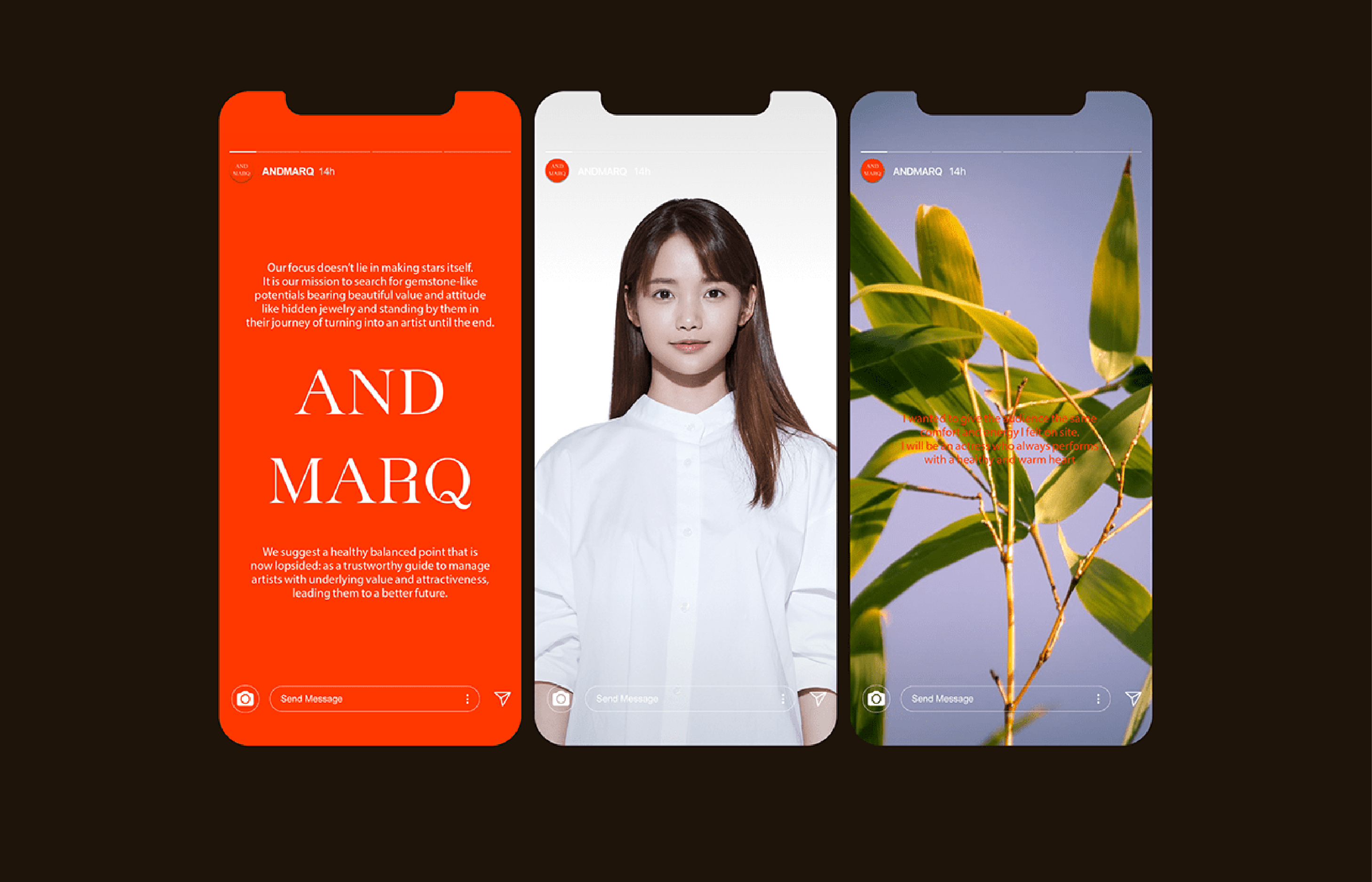 ANDMARQ cover image