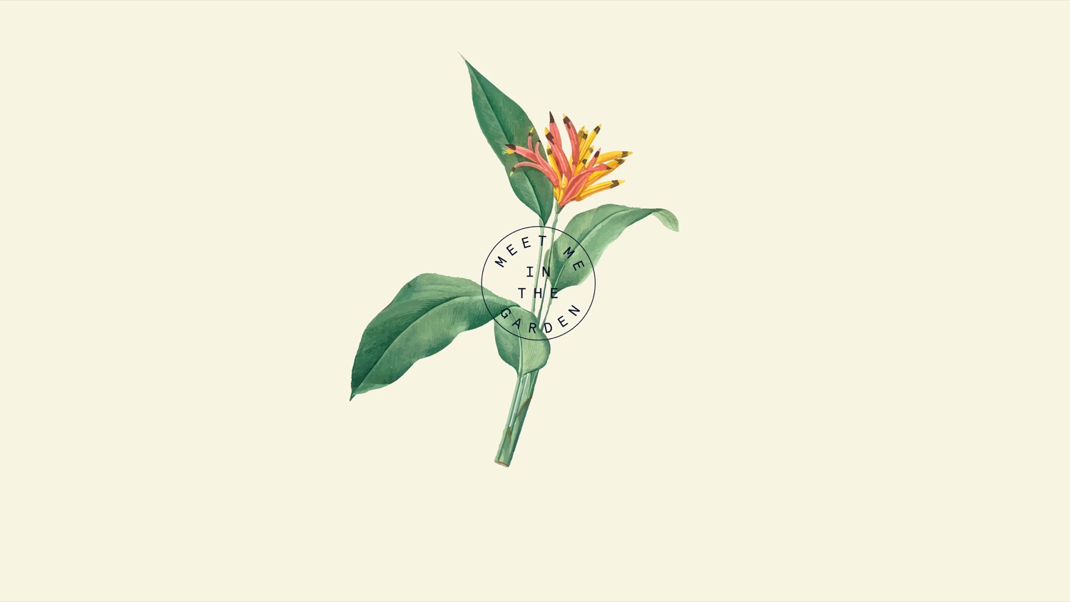 Joy Garden cover image