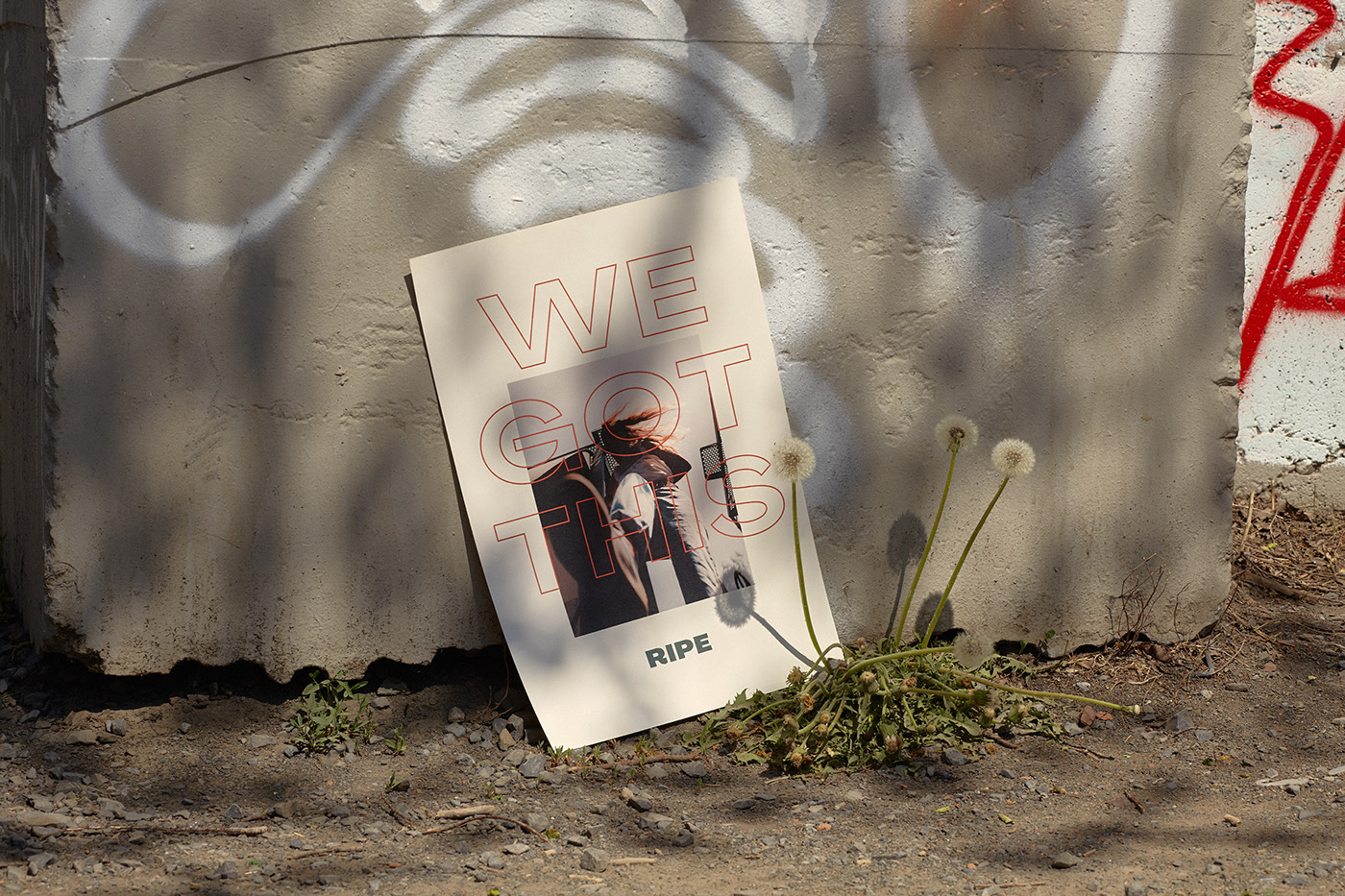 RIPE cover image