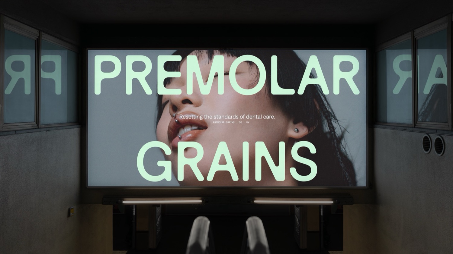 Premolar Grains cover image