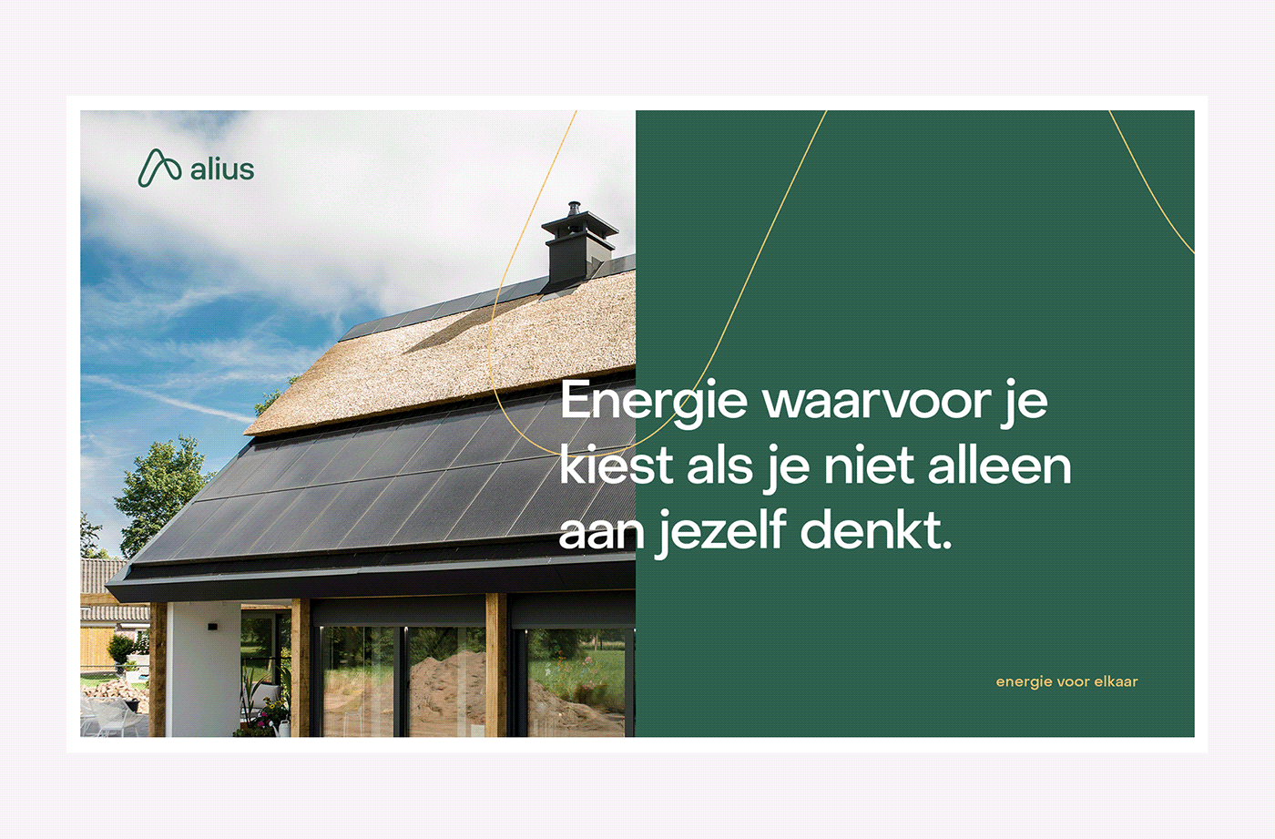 Rebranding for Alius cover image