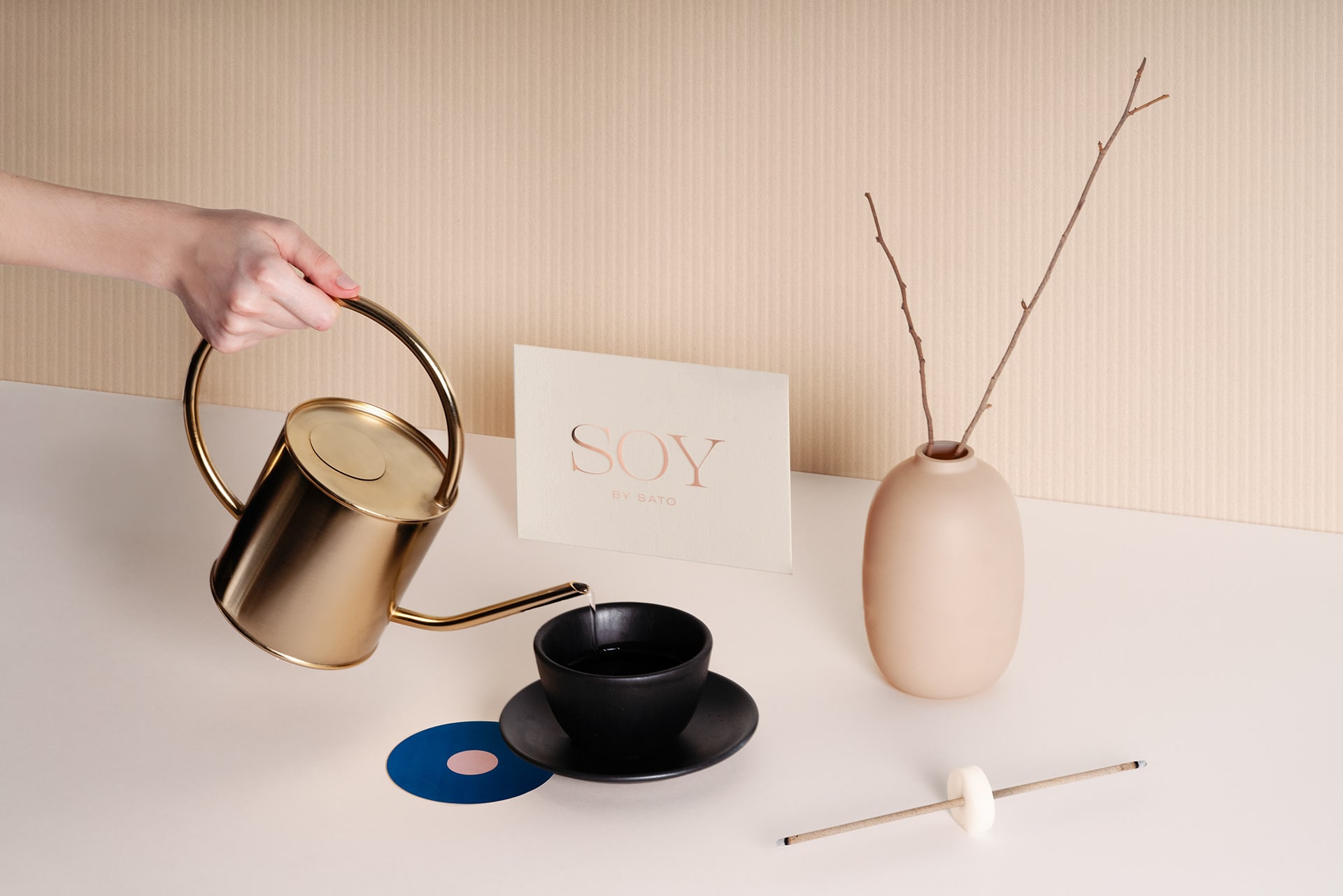 Soy cover image
