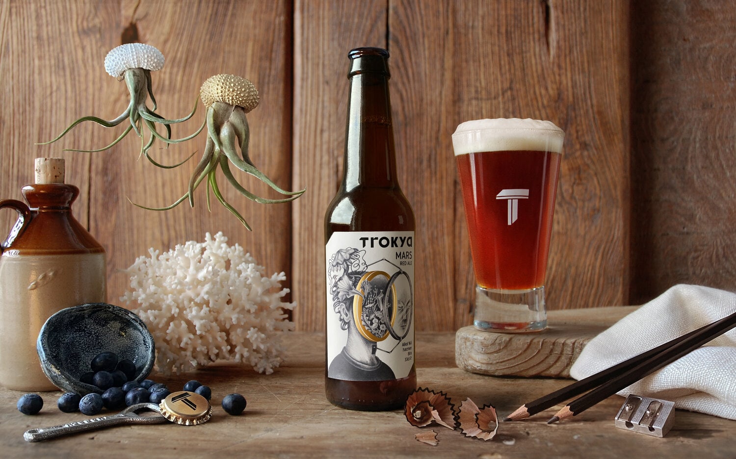Trokya beer cover image