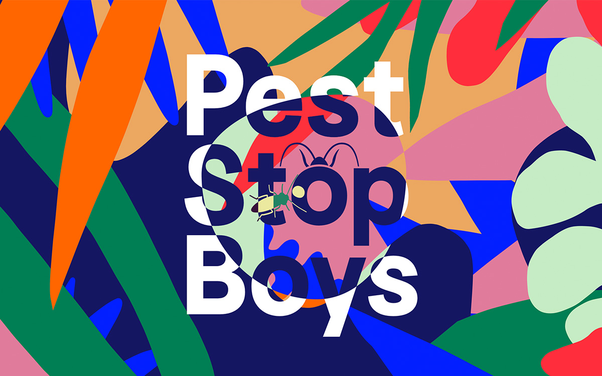 Pest Stop Boys cover image