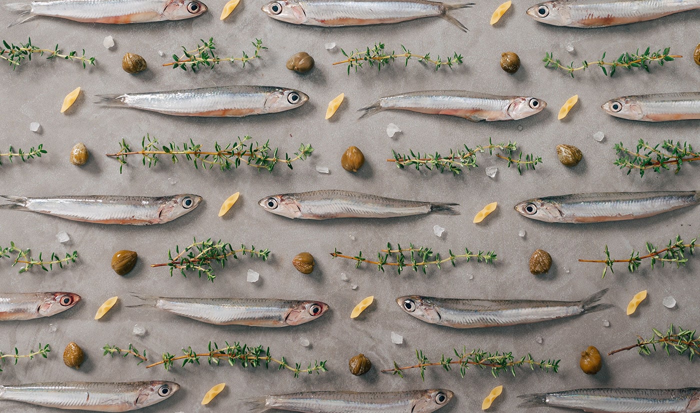 Barilla Textured Recipes cover image