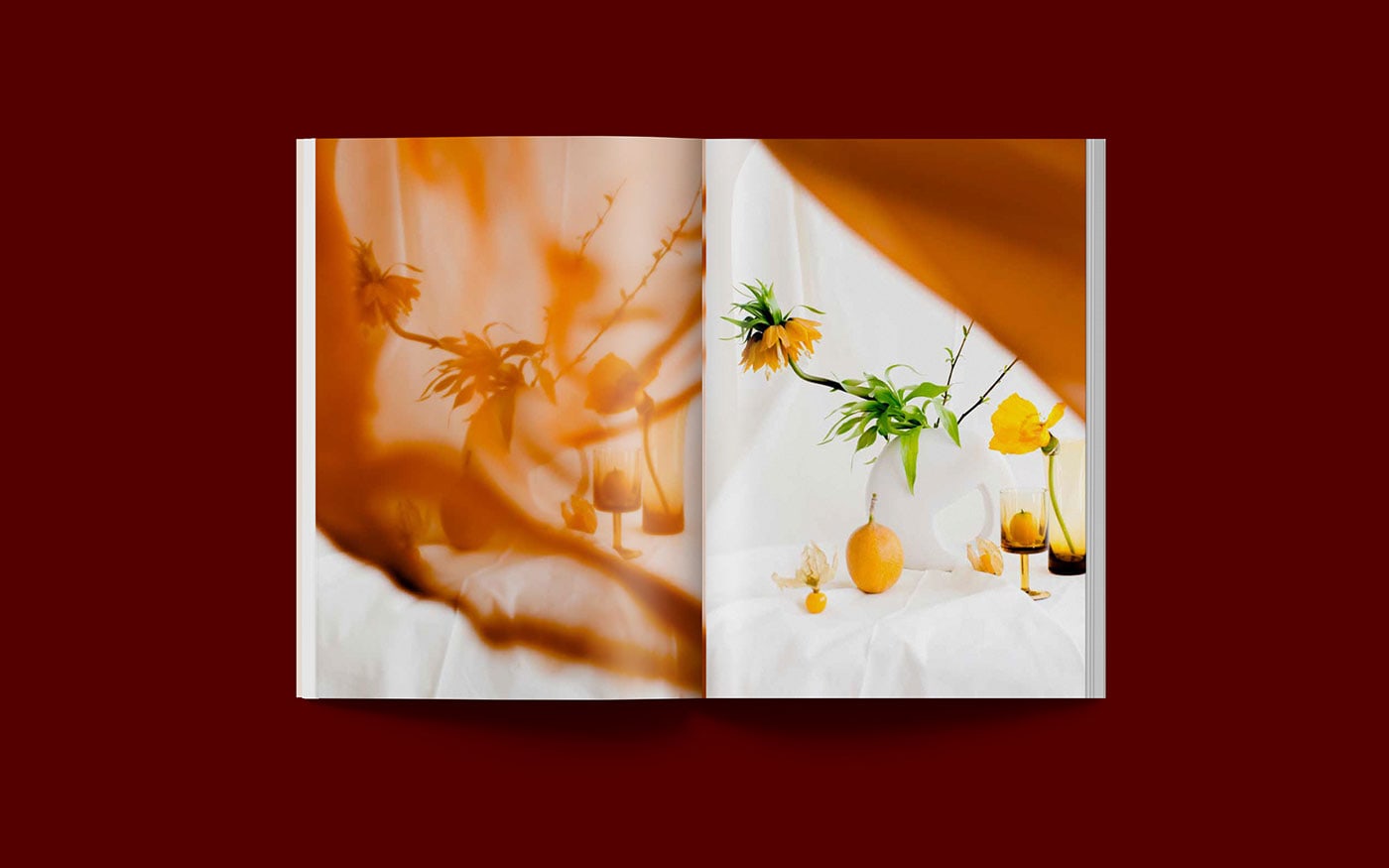 Colour cover image