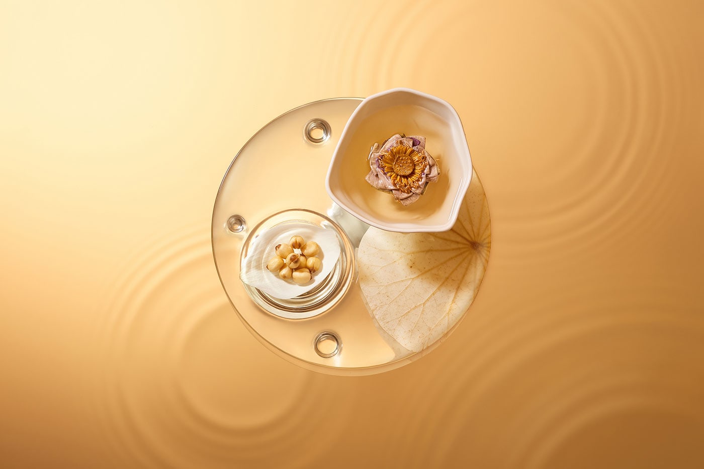 MEKONG - The Interactive Tea Art Experience cover image