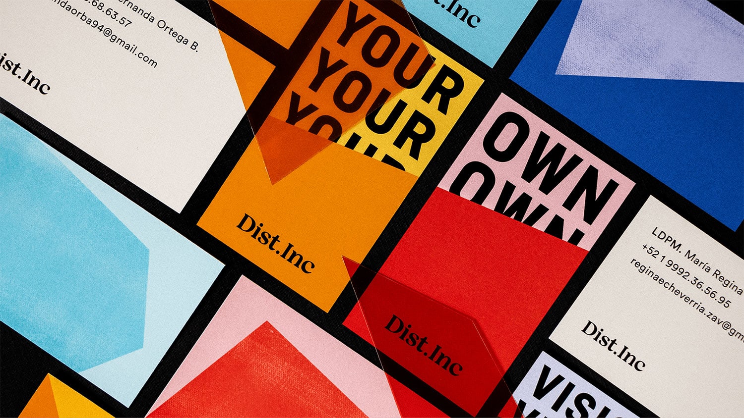 Dist.Inc Identity cover image