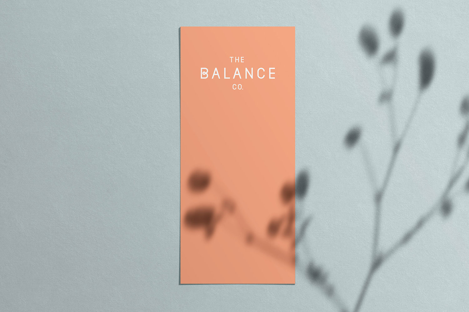 The Balance Company cover image