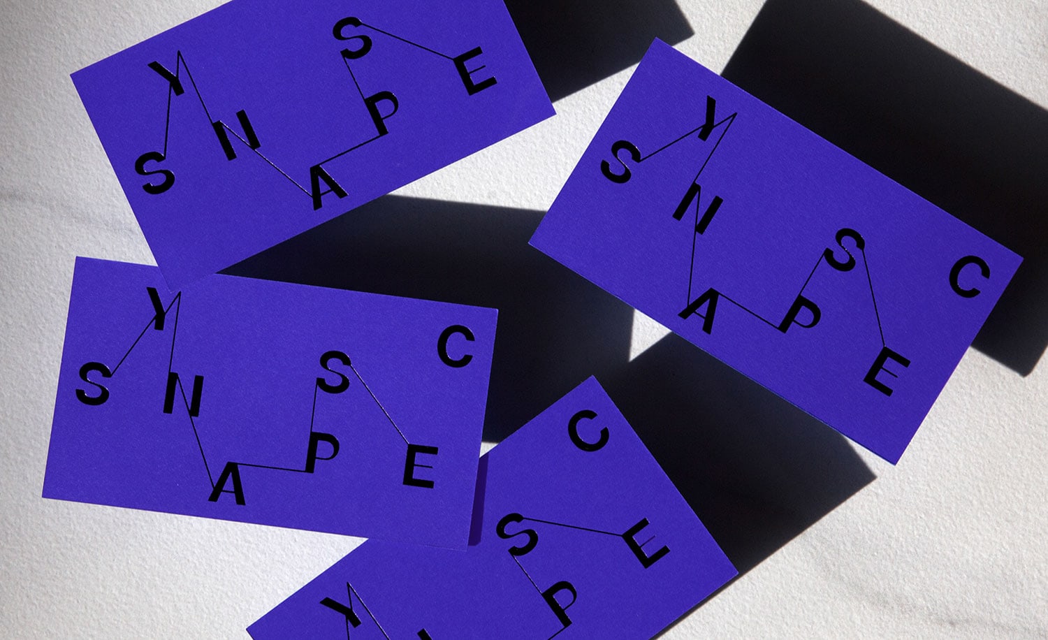 Synapse C Branding cover image
