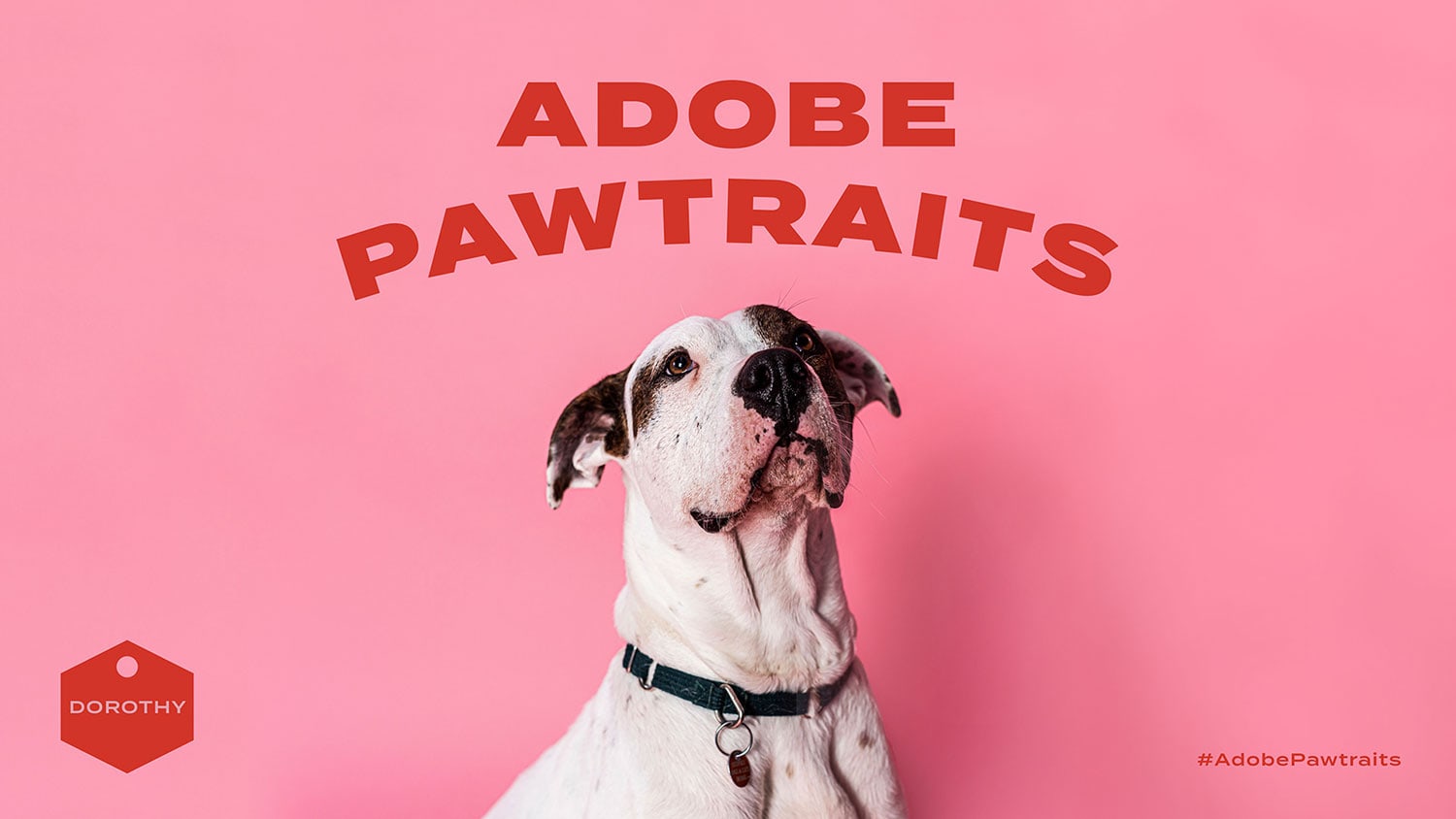 Adobe Pawtraits cover image