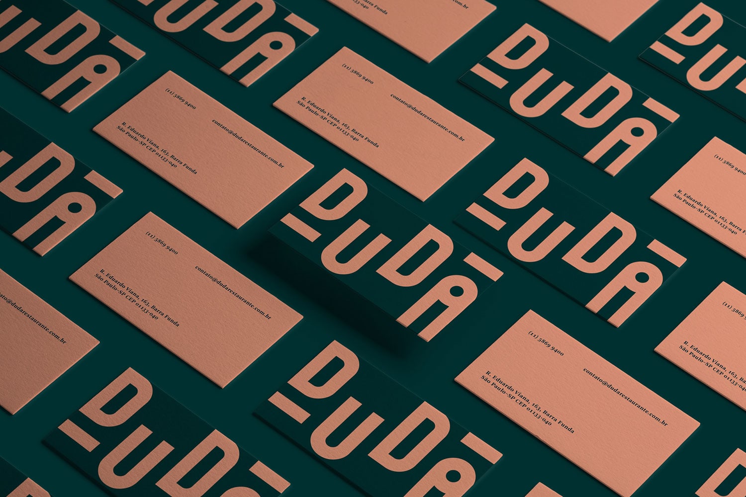 Duda cover image