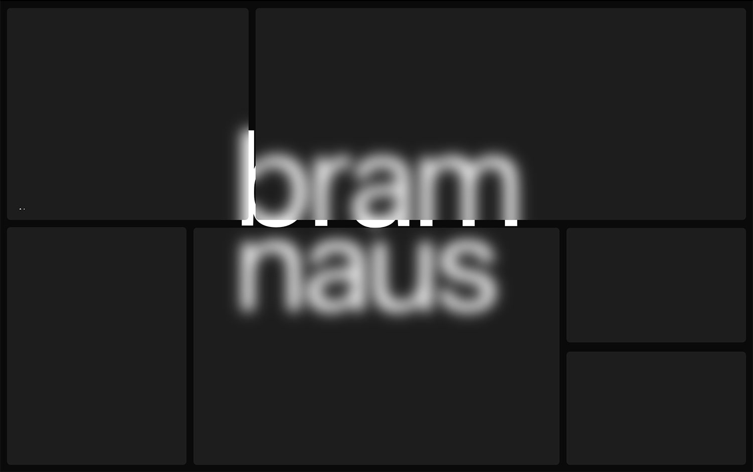 Bram naus cover image