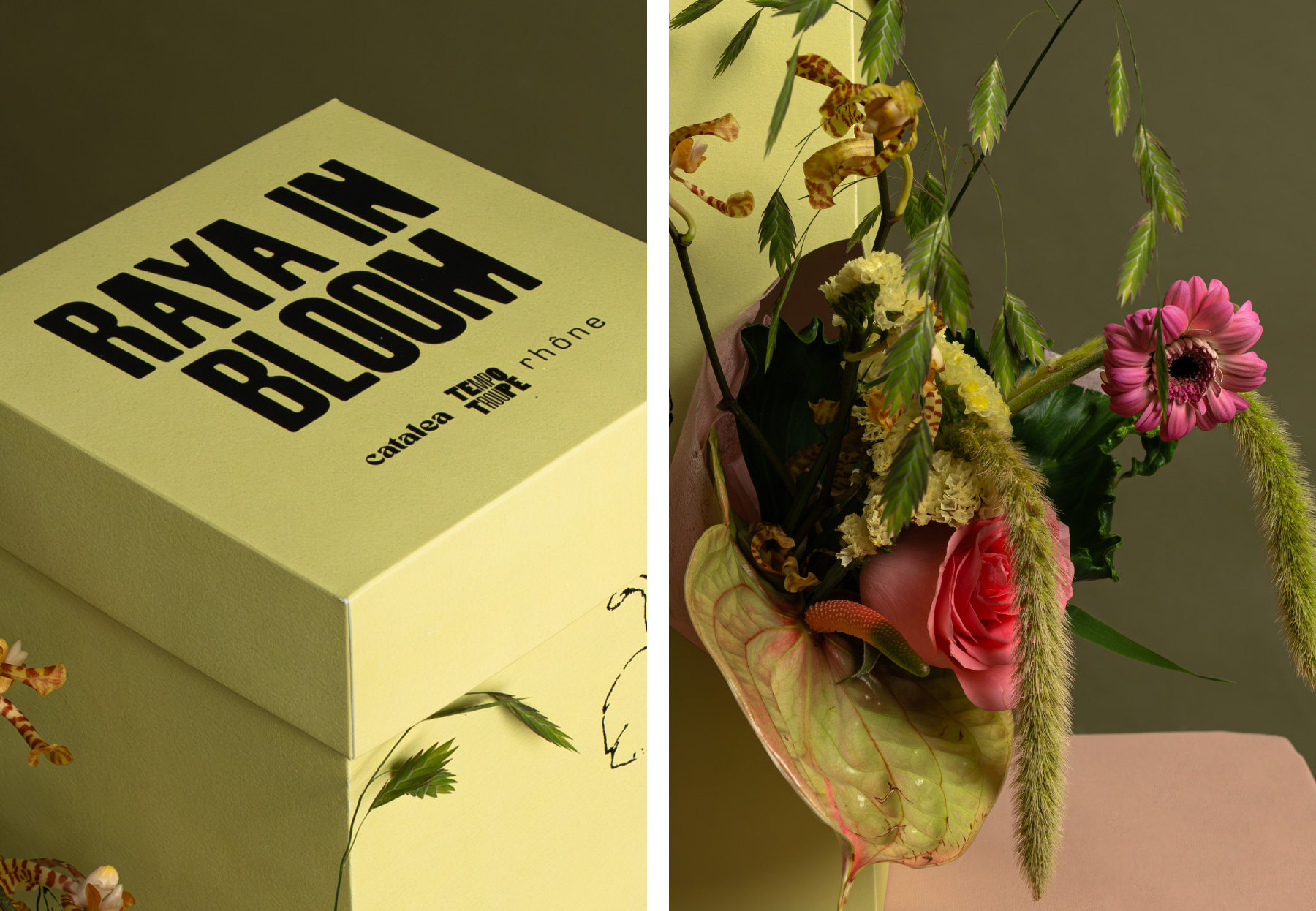 Raya in Bloom cover image