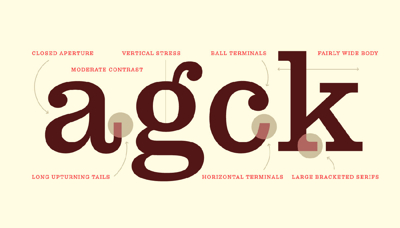 Pulpo Typeface cover image