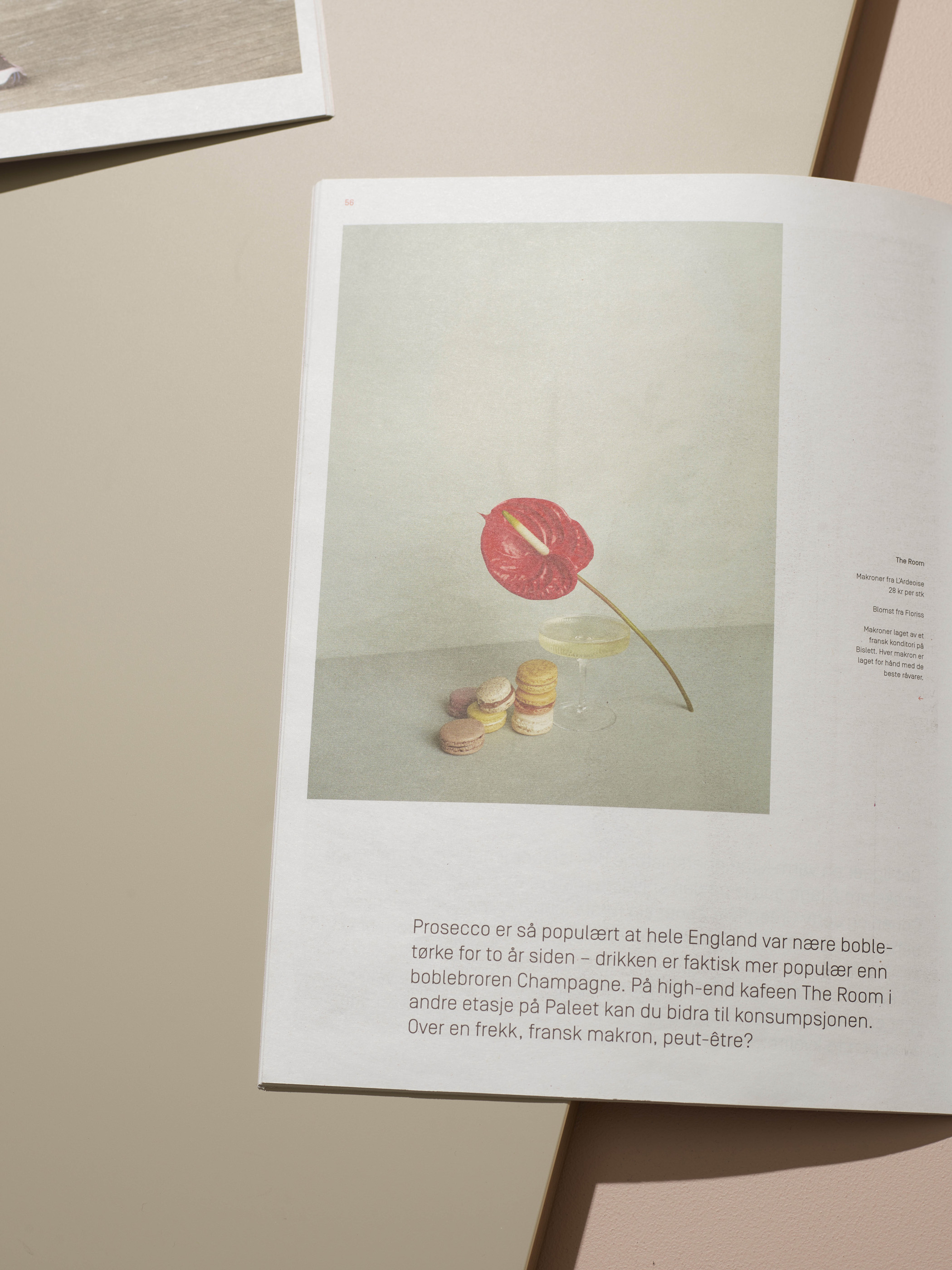 Paleet Magazine cover image