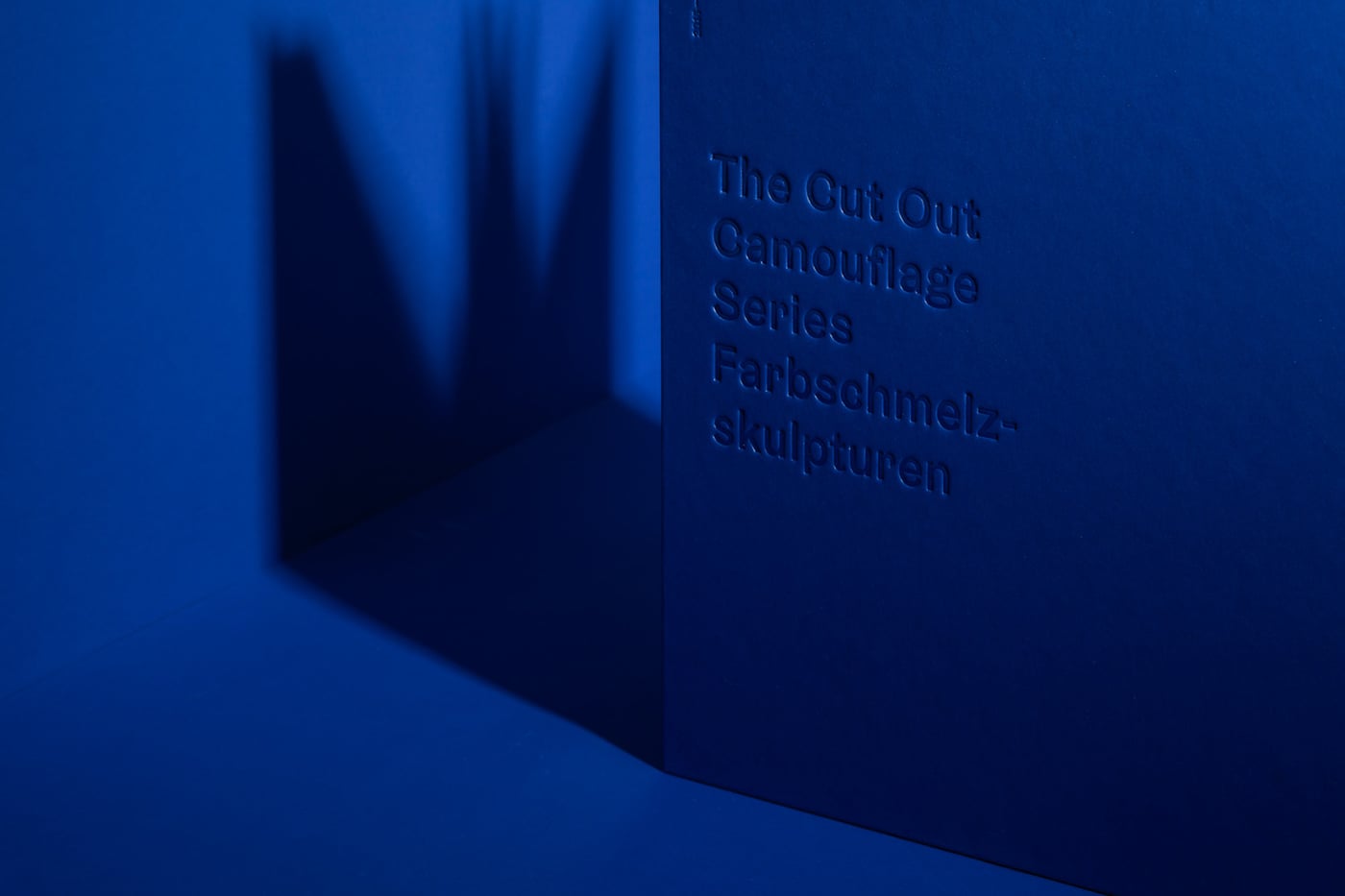 The Chronology of Water Editorial cover image